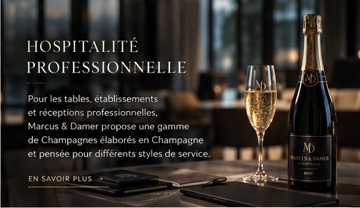 Hospitalité professionnelle